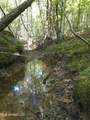  Cub Brown Road - Photo 28