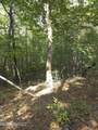  Cub Brown Road - Photo 6