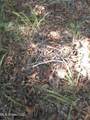  Cub Brown Road - Photo 7
