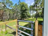14132 Lumpkin Road - Photo 29