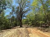 0 County Road 375 - Photo 4