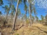 1 Prentiss Crump Road - Photo 15