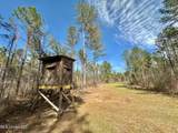 1 Prentiss Crump Road - Photo 16
