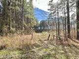 4 Prentiss Crump Road - Photo 6