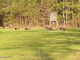 377a Deep Creek Road - Photo 28