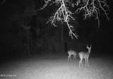 377a Deep Creek Road - Photo 30
