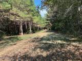2928 Stokes Cemetary Road - Photo 16