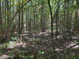 2928 Stokes Cemetary Road - Photo 22