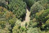 2928 Stokes Cemetary Road - Photo 26