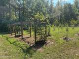 2928 Stokes Cemetary Road - Photo 33
