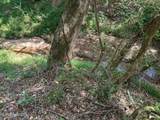 2928 Stokes Cemetary Road - Photo 44