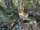 2928 Stokes Cemetary Road - Photo 45