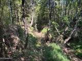 2928 Stokes Cemetary Road - Photo 57