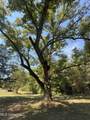 2928 Stokes Cemetary Road - Photo 59
