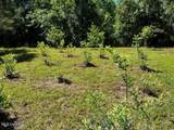 2928 Stokes Cemetary Road - Photo 84