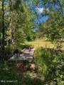 2928 Stokes Cemetary Road - Photo 85