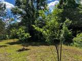 2928 Stokes Cemetary Road - Photo 86