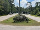 Nhn Tampa Circle - Photo 5