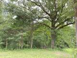  10 1/2  Acres Smith - Photo 6