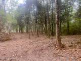 10 Ac Donniebrook Lane - Photo 21