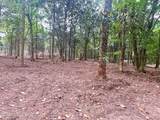 10 Ac Donniebrook Lane - Photo 24
