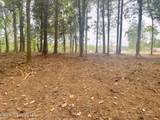 10 Ac Donniebrook Lane - Photo 27