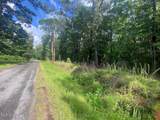 10 Ac Donniebrook Lane - Photo 9