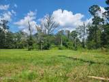 10550 Oneal Road - Photo 13