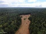 0 Mt. Gilead Road - Photo 11