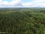 0 Mt. Gilead Road - Photo 12