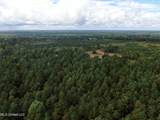 0 Mt. Gilead Road - Photo 13