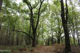 0 Mt. Gilead Road - Photo 20