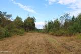 0 Mt. Gilead Road - Photo 21