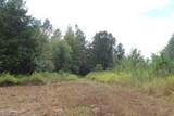 0 Mt. Gilead Road - Photo 24