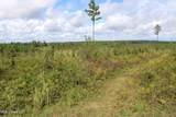0 Mt. Gilead Road - Photo 30