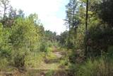 0 Mt. Gilead Road - Photo 31
