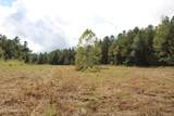 0 Mt. Gilead Road - Photo 34