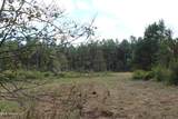 0 Mt. Gilead Road - Photo 35