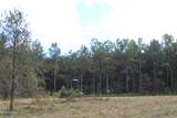 0 Mt. Gilead Road - Photo 36