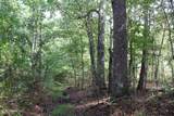 0 Mt. Gilead Road - Photo 38