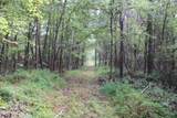 0 Mt. Gilead Road - Photo 42