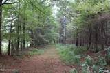 0 Mt. Gilead Road - Photo 44