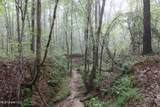 0 Mt. Gilead Road - Photo 47
