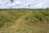 0 Mt. Gilead Road - Photo 49