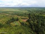 0 Mt. Gilead Road - Photo 5