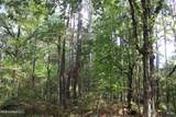 0 Mt. Gilead Road - Photo 52