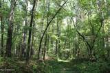 0 Mt. Gilead Road - Photo 53