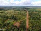 0 Mt. Gilead Road - Photo 6