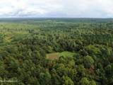 0 Mt. Gilead Road - Photo 7