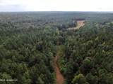 0 Mt. Gilead Road - Photo 8